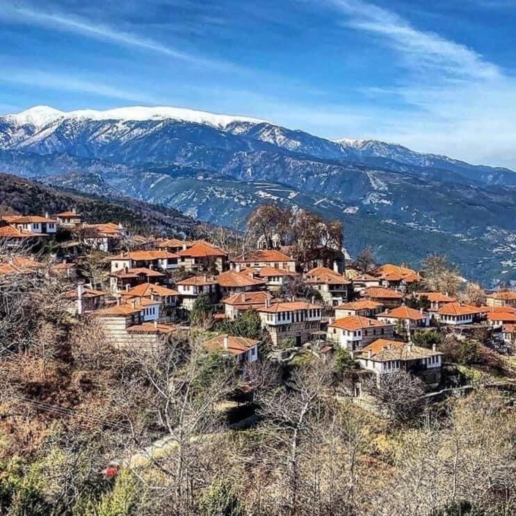 Ξενώνας Τ'Αρχοντικό Palaios Panteleimonas Buitenkant foto